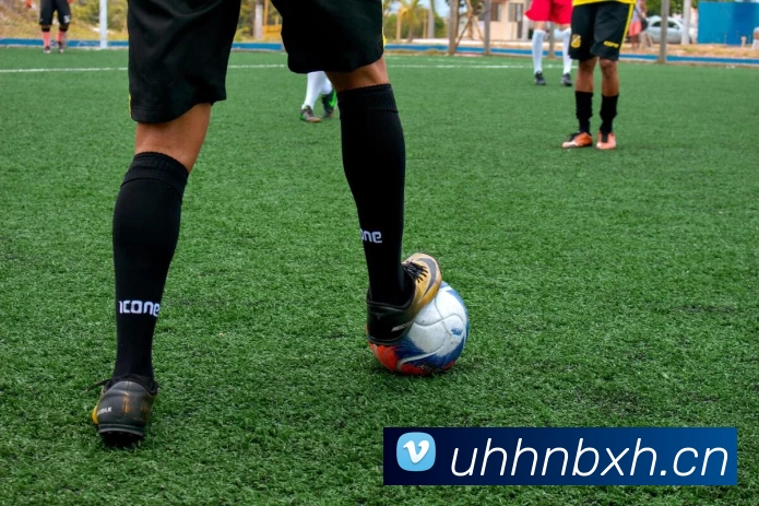 多媒体互动体验